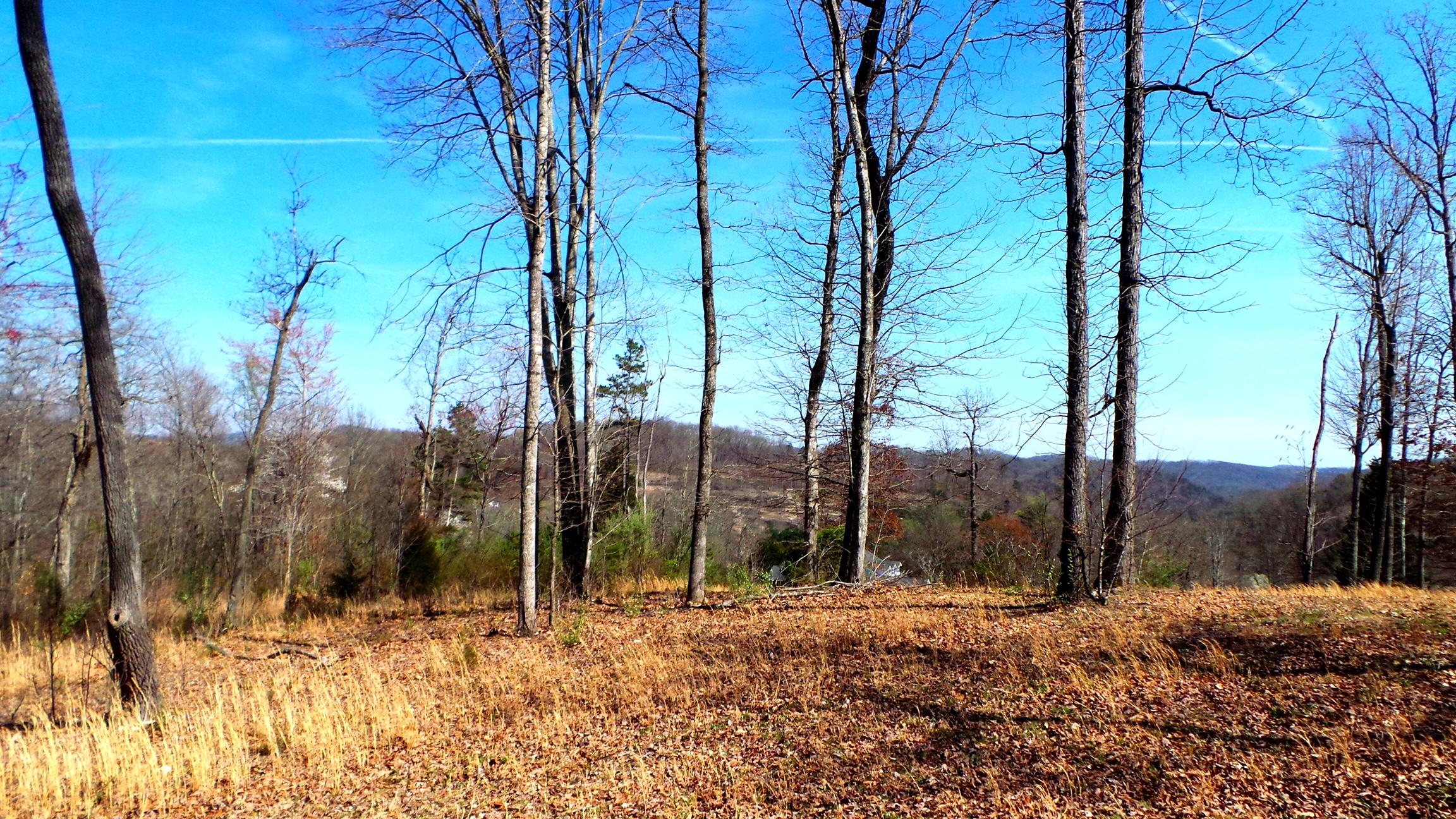 9733 Hidden Branch Lane Heiskell, TN 37754 - Photo 4 of 7 IMG_2197