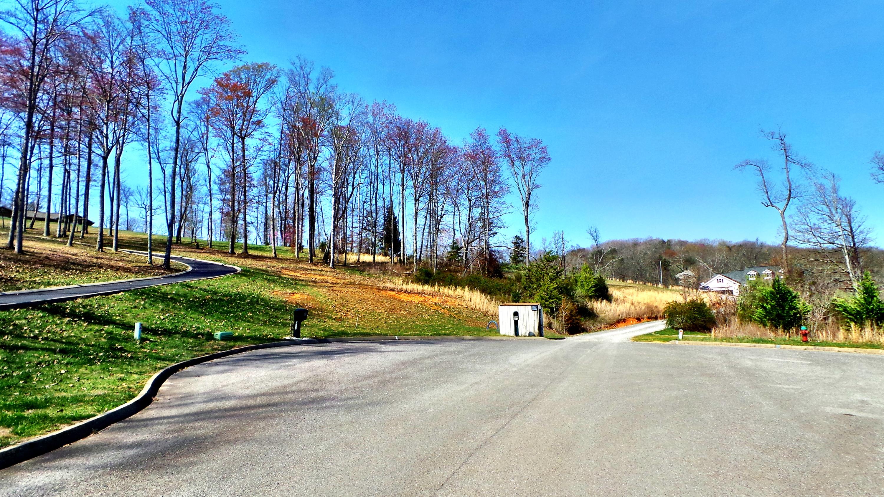 9733 Hidden Branch Lane Heiskell, TN 37754 - Photo 6 of 7 IMG_2192