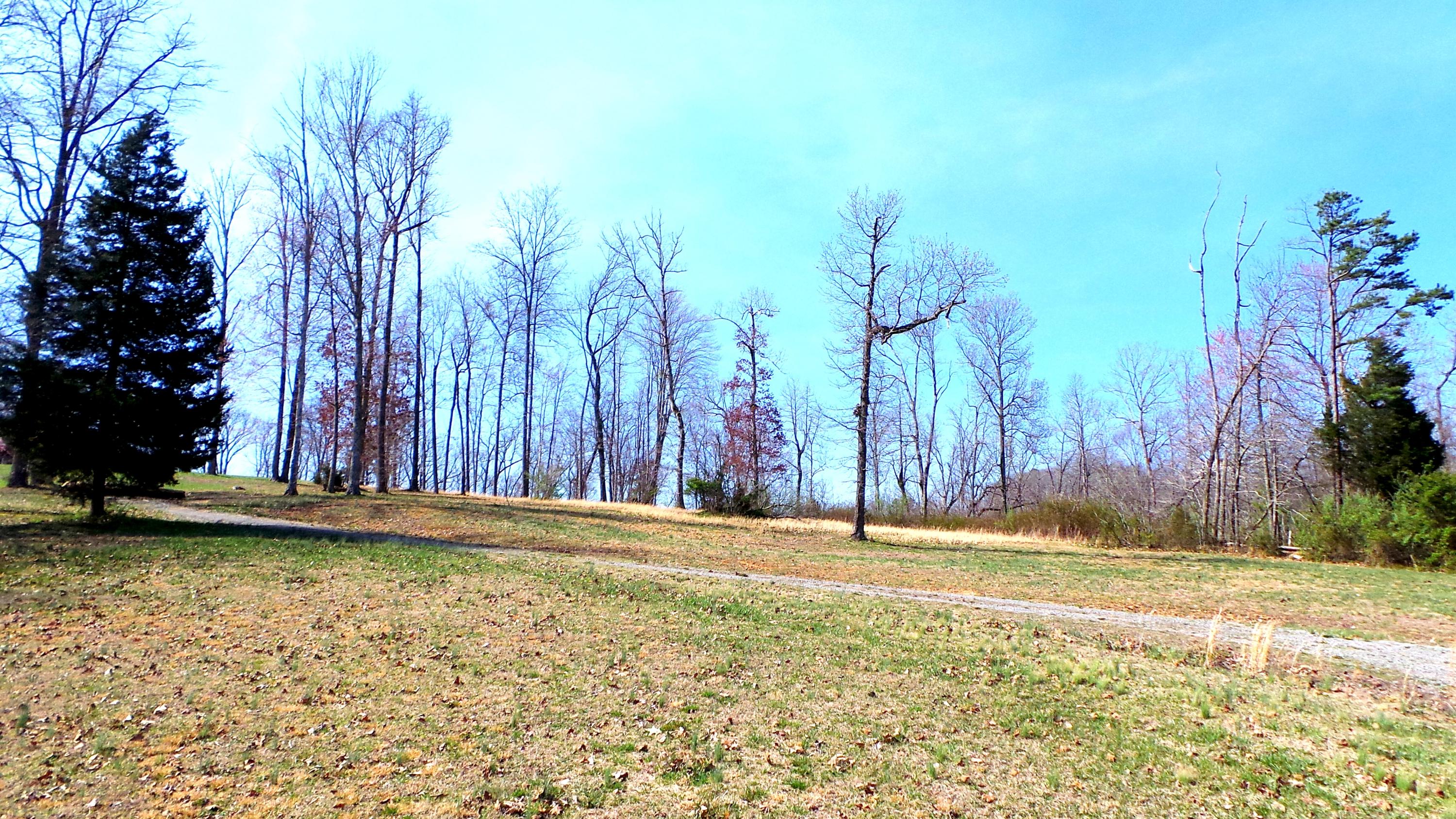 9733 Hidden Branch Lane Heiskell, TN 37754 - Photo 7 of 7 IMG_2193