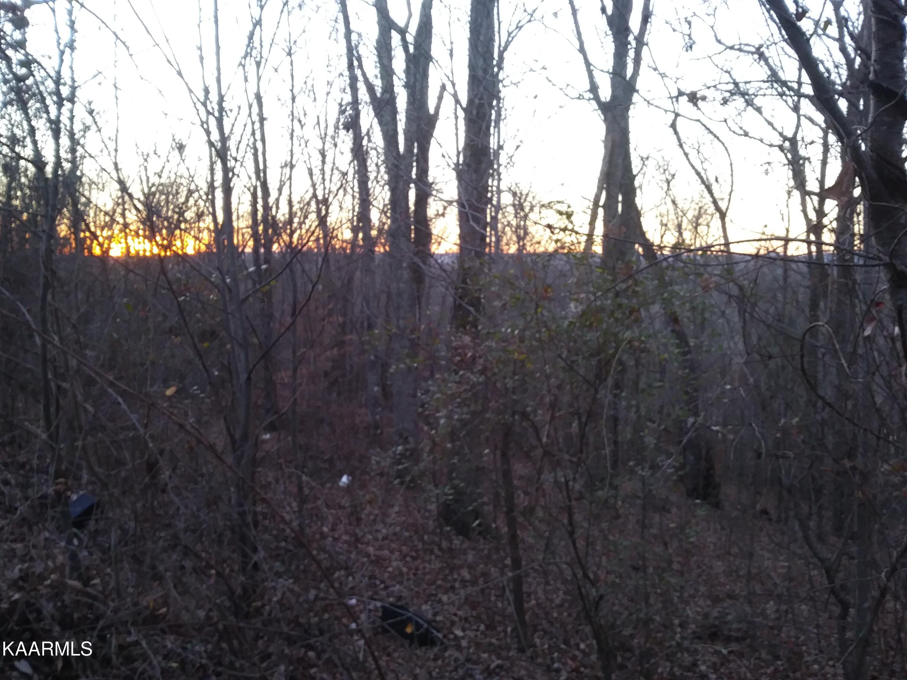 338 Lakewood Village Road Spring City, TN 37381 - Photo 13 of 16 20211223_172726