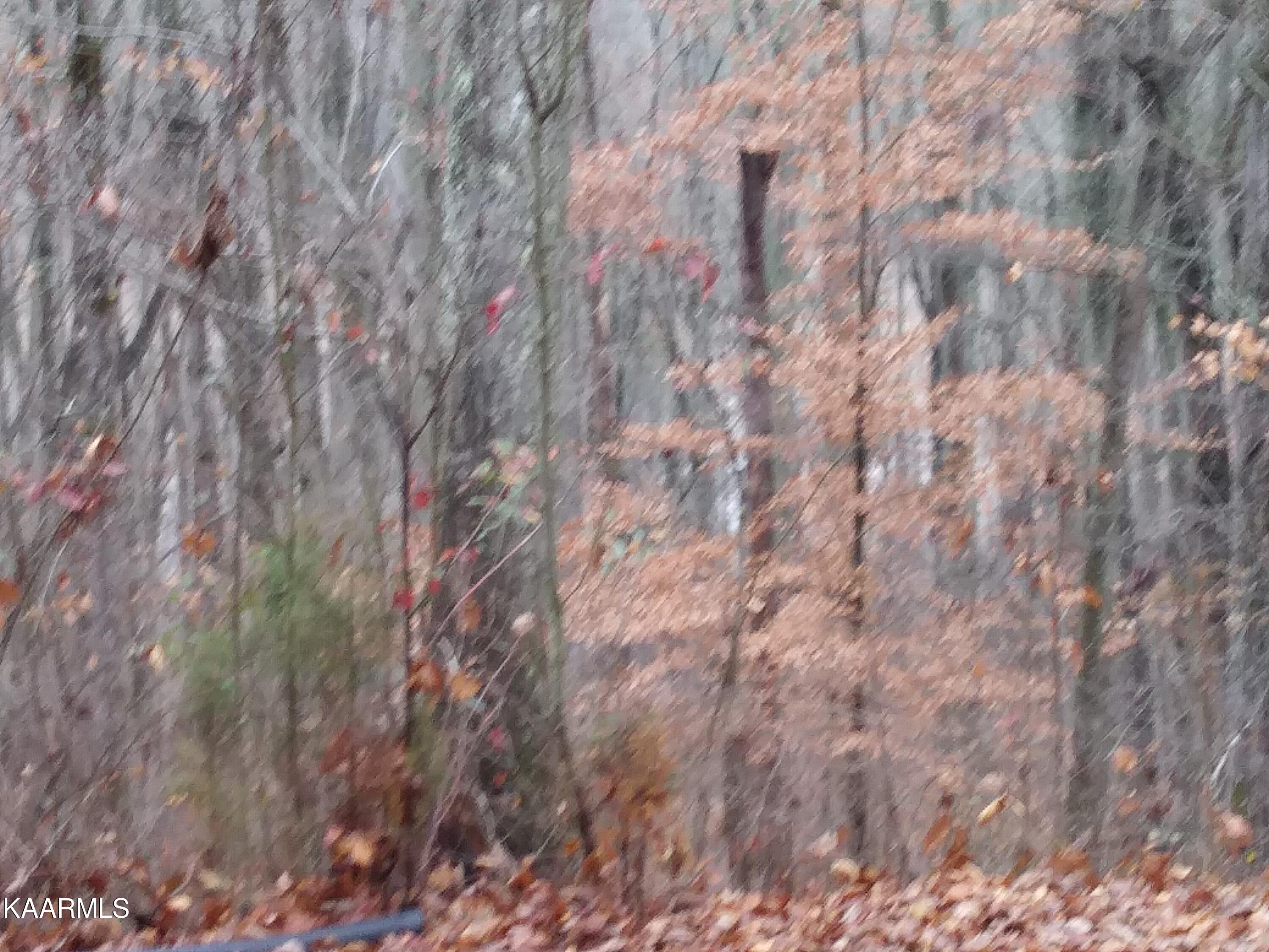 338 Lakewood Village Road Spring City, TN 37381 - Photo 3 of 16 20211217_160258