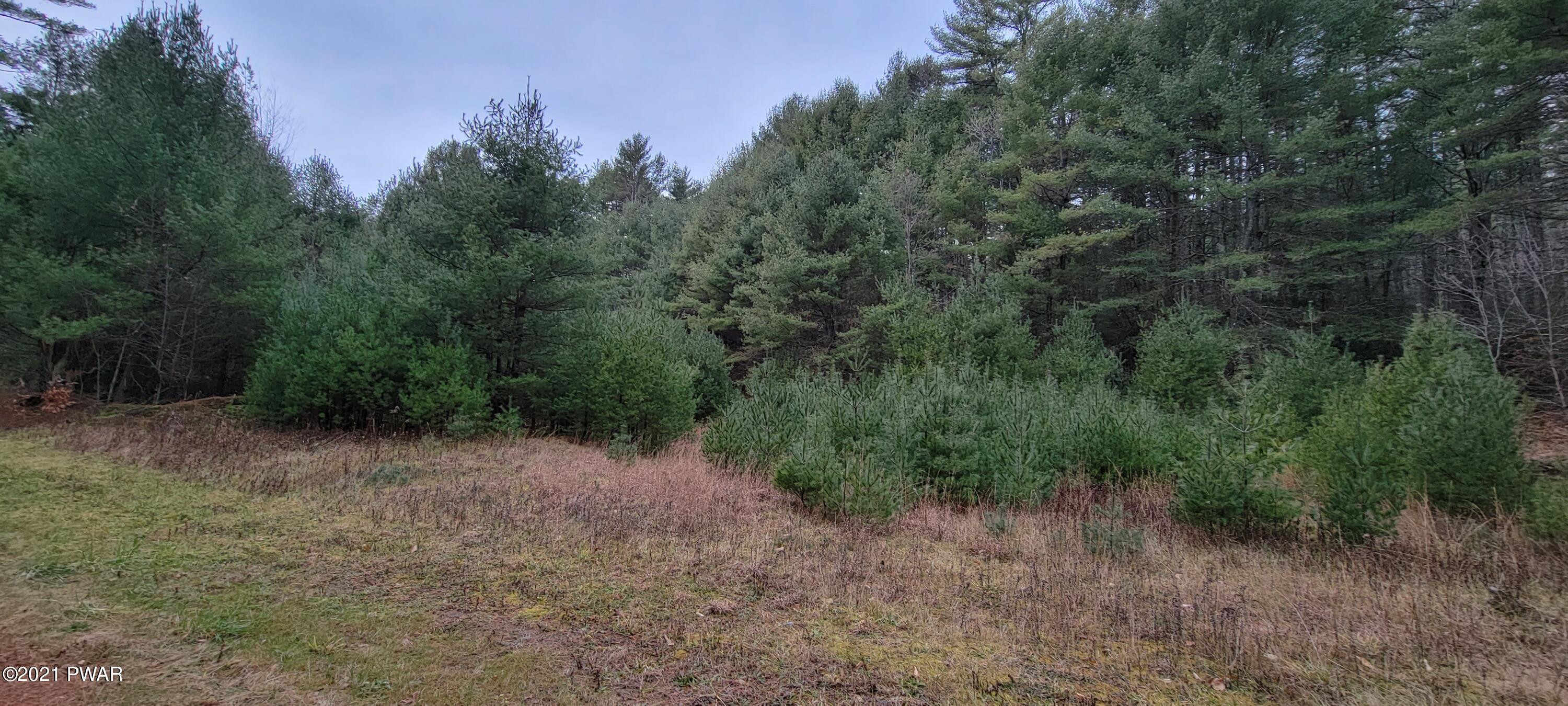 Lot 43 Swamp Pond Road Narrowsburg, NY 12764 - Photo 11 of 13