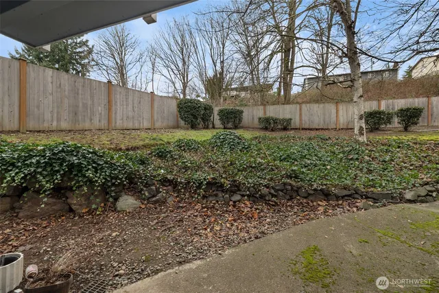 a view of a backyard with large trees