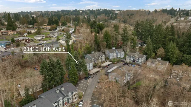 a view of a park with large trees