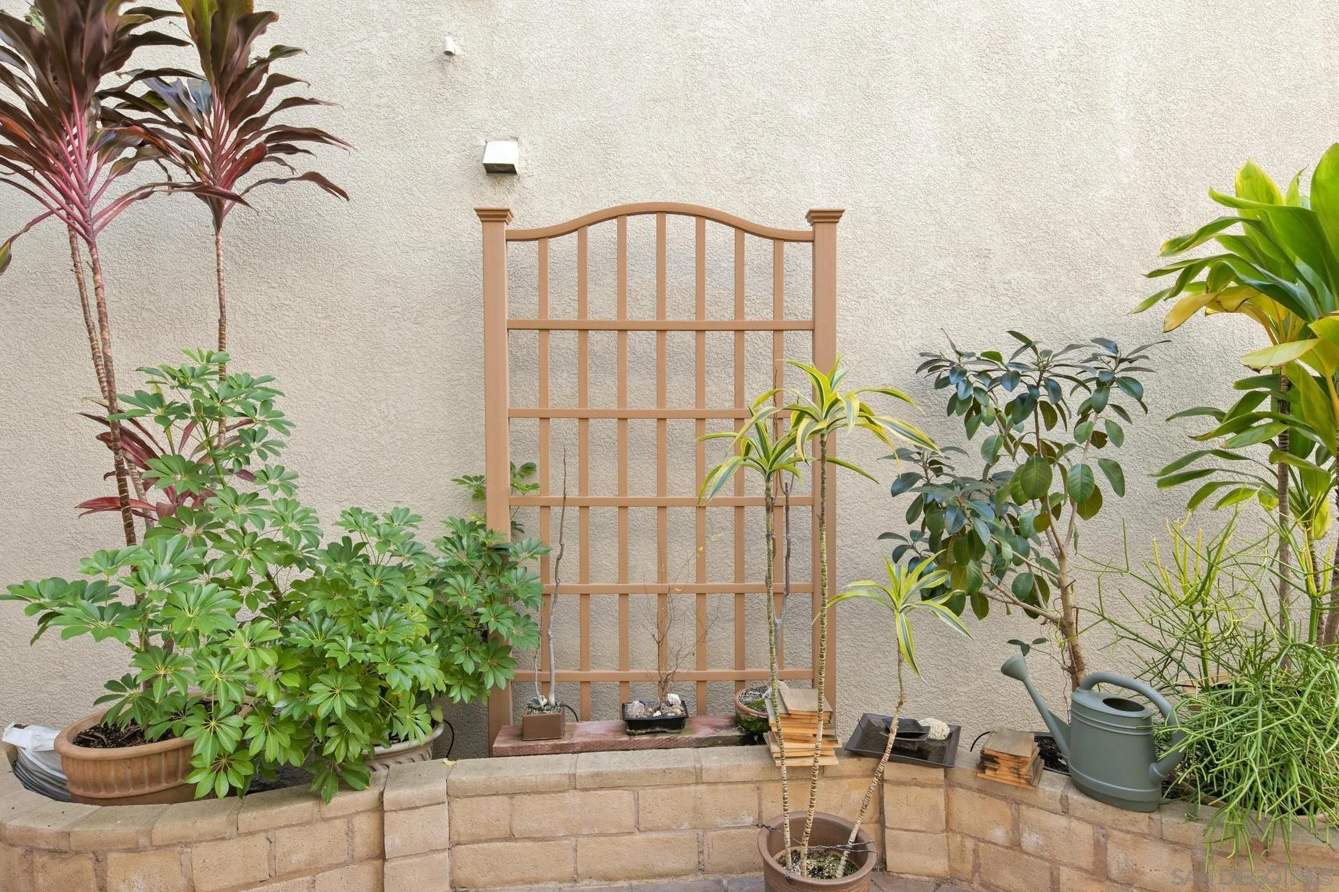 16633 Deer Ridge Road San Diego, CA 92127 - Photo 31 of 53 a view of a potted plants with sky view