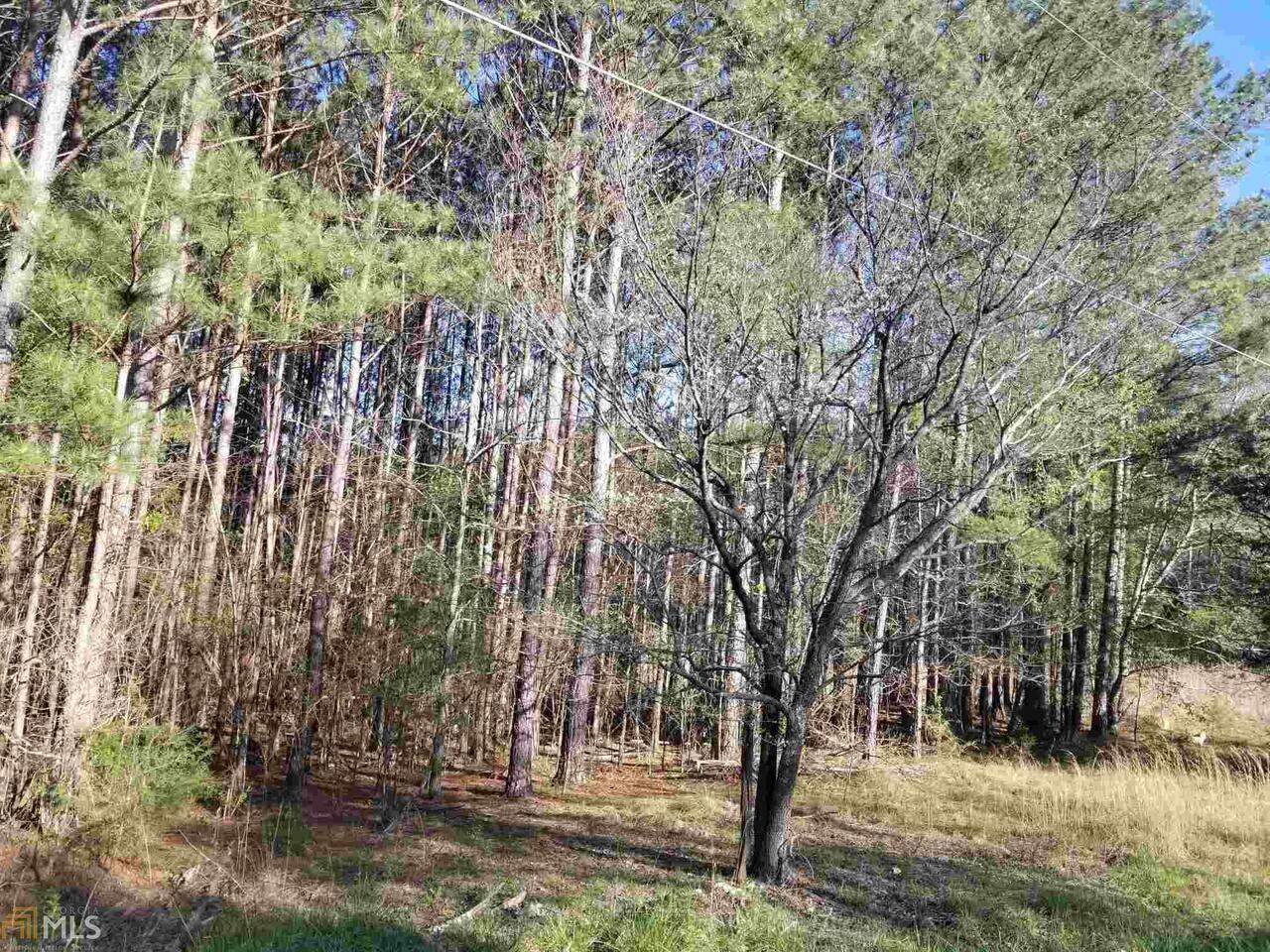0 Grover Road Cedartown, GA 30125 - Photo 1 of 1 Gallery Image 1