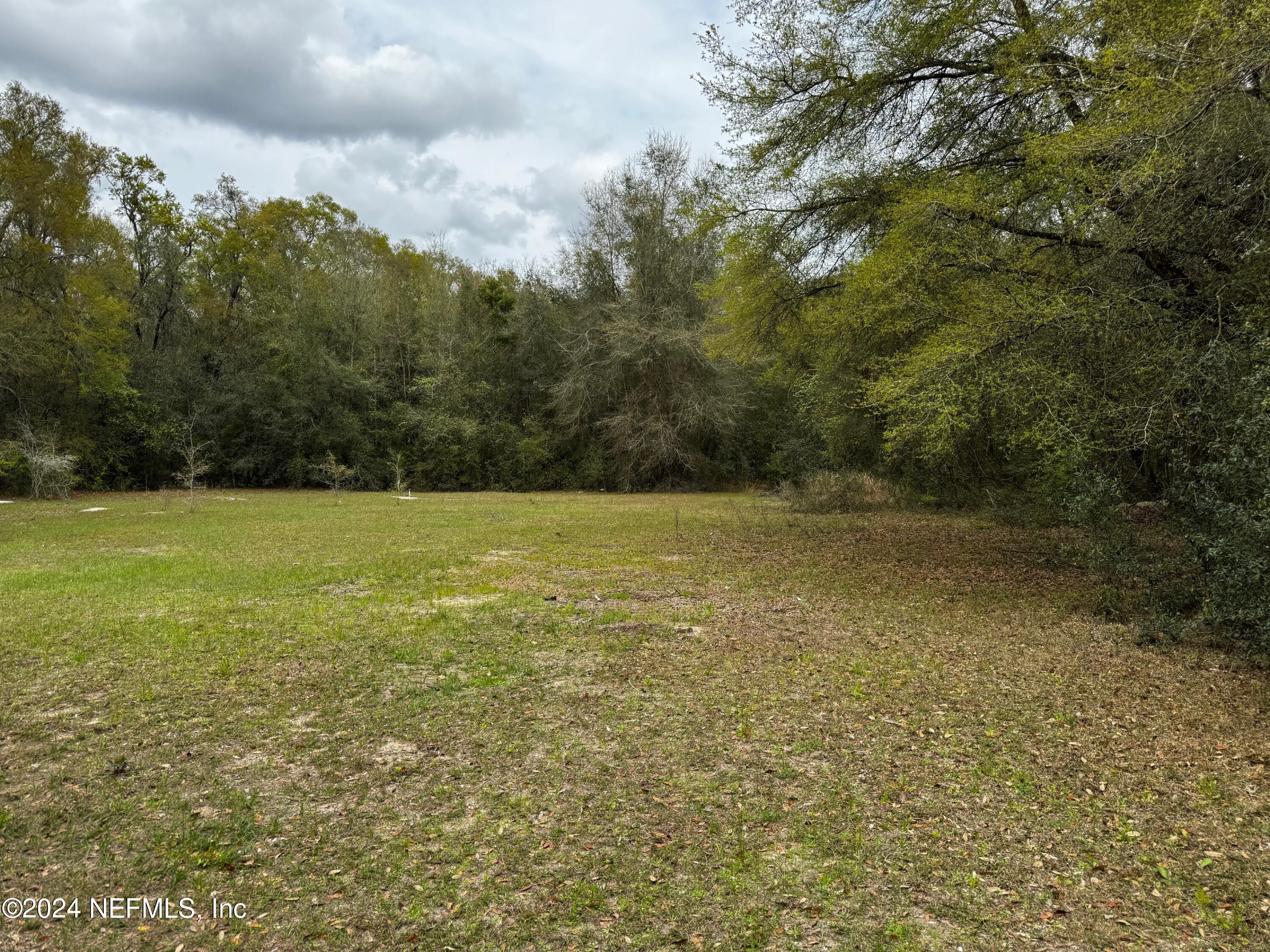 156 Tanner School Bus Road Florahome, FL 32140 - Photo 3 of 26 IMG_4773