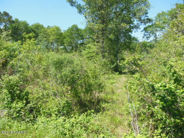 1779 Jacob Road Eunice, LA 70535 - Photo 22 of 24 DSCN1415