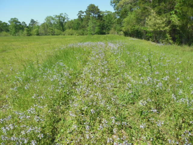 1779 Jacob Road Eunice, LA 70535 - Photo 23 of 24 DSCN1416