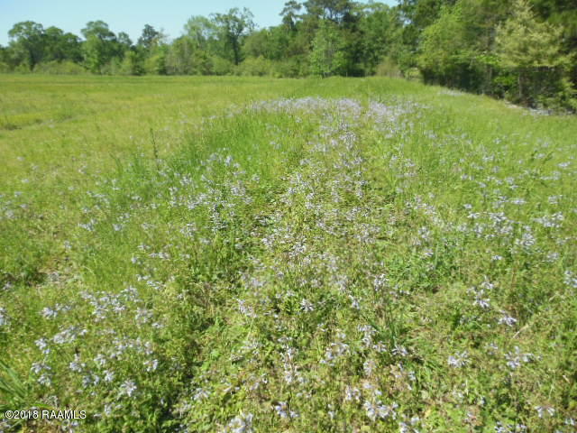 1779 Jacob Road Eunice, LA 70535 - Photo 24 of 24 DSCN1417