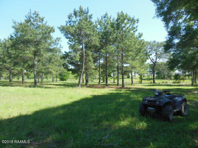 1779 Jacob Road Eunice, LA 70535 - Photo 3 of 24 DSCN1421