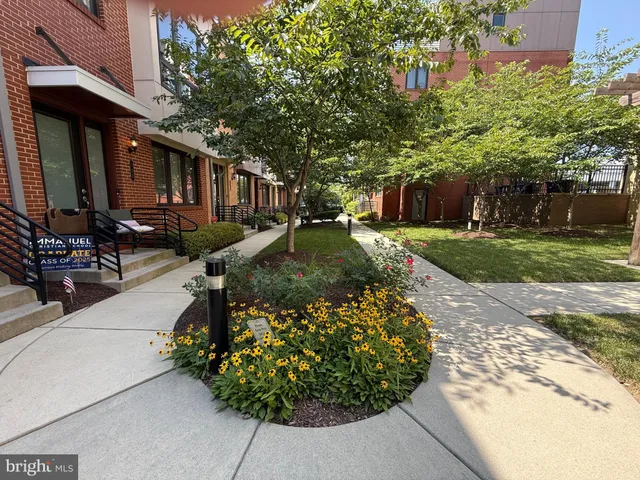 a view of a street with potted plants and large trees