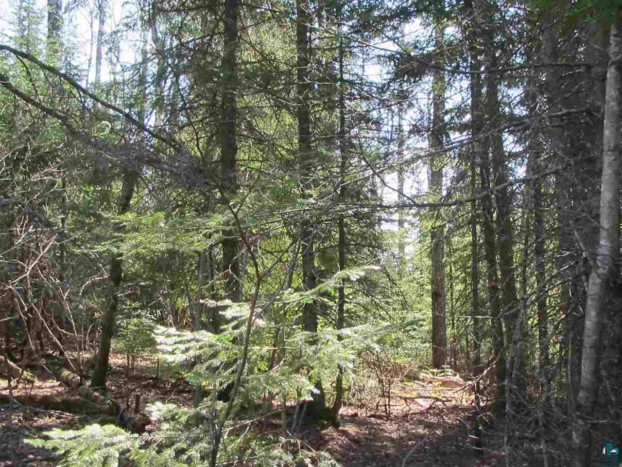Devil Track Road Grand Marais, MN 55604 - Photo 3 of 4 Gallery Image 3