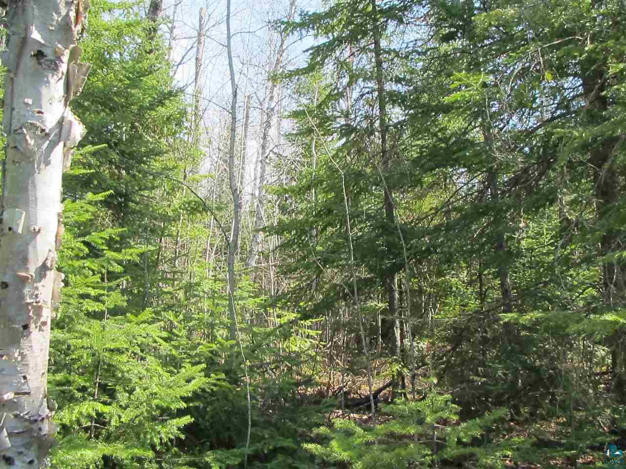 Devil Track Road Grand Marais, MN 55604 - Photo 4 of 4 Gallery Image 4