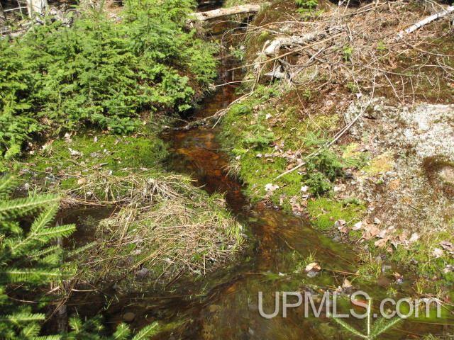 22405 Webb Road Grand Marais, MI 49839 - Photo 23 of 32 Gallery Image 23