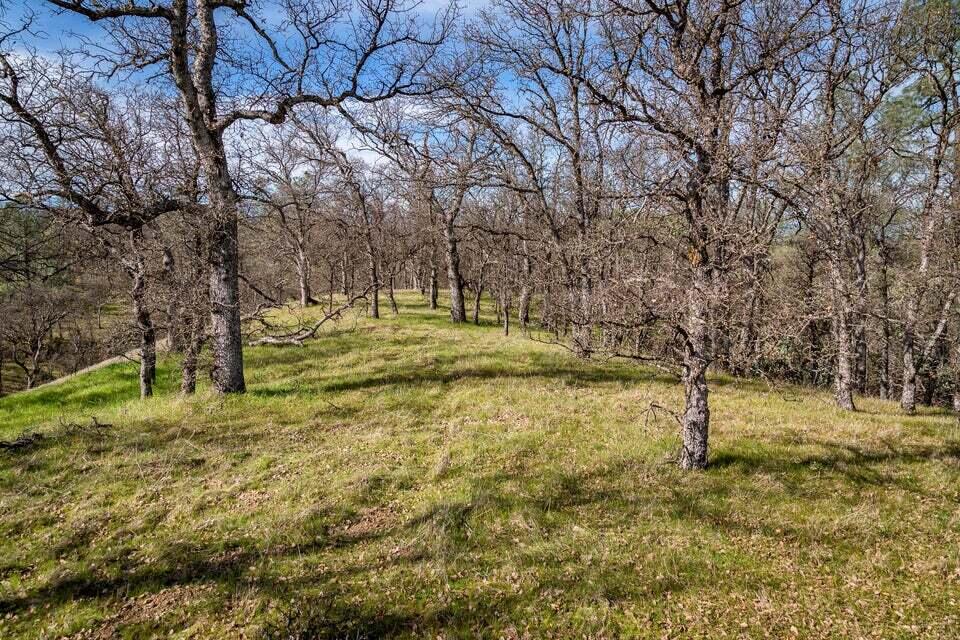 C Quail Ridge Road Cottonwood, CA 96022 - Photo 1 of 17 To possible Building pad...