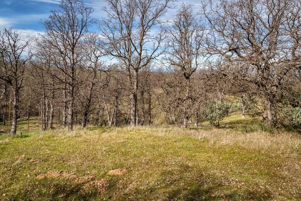 C Quail Ridge Road Cottonwood, CA 96022 - Photo 3 of 17 Prop