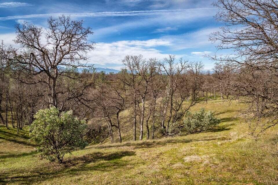 C Quail Ridge Road Cottonwood, CA 96022 - Photo 7 of 17 To possible building pad