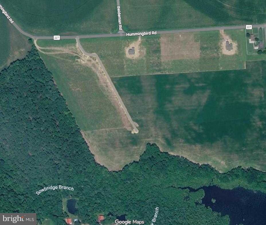 Parcel A Hummingbird Road Ellendale, DE 19941 - Photo 6 of 6 a view of a water fountain