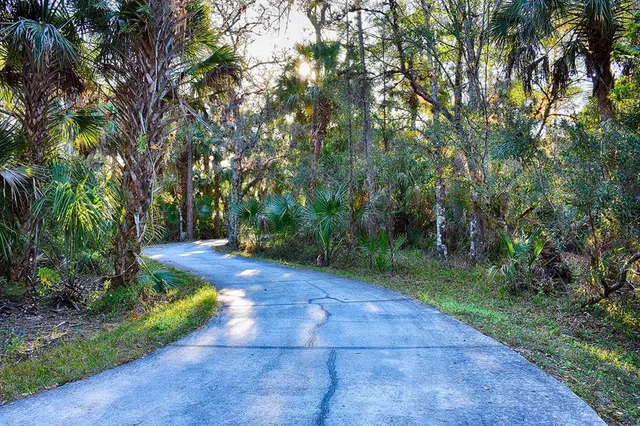 $1,975 | 715 Volterra Boulevard, Kissimmee, FL 34759