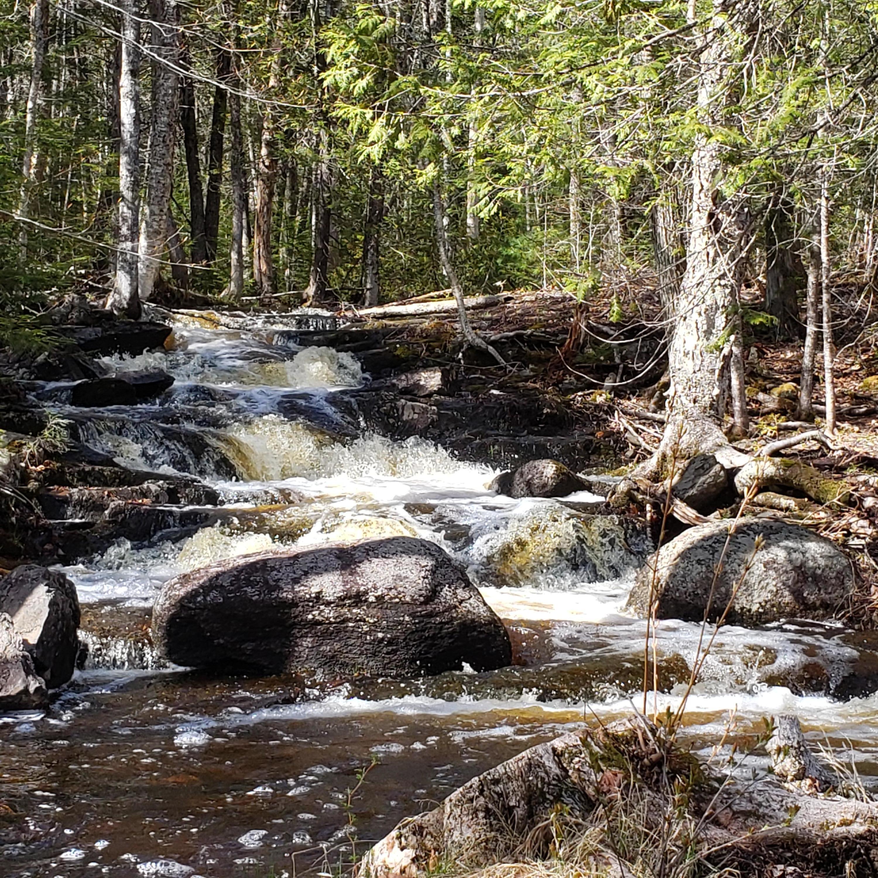 0 South Road Lincoln, ME 04457 - Photo 1 of 75 20210501_152741
