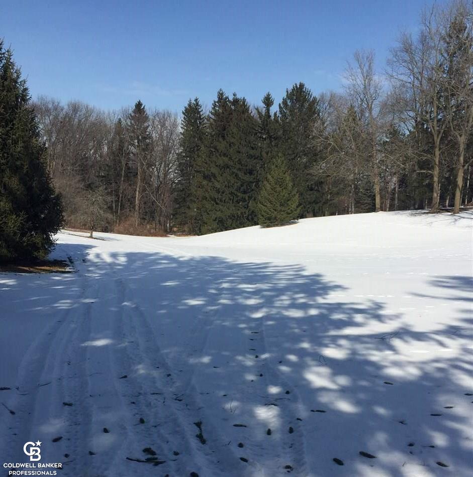 5375 West Road Washington, MI 48094 - Photo 10 of 73