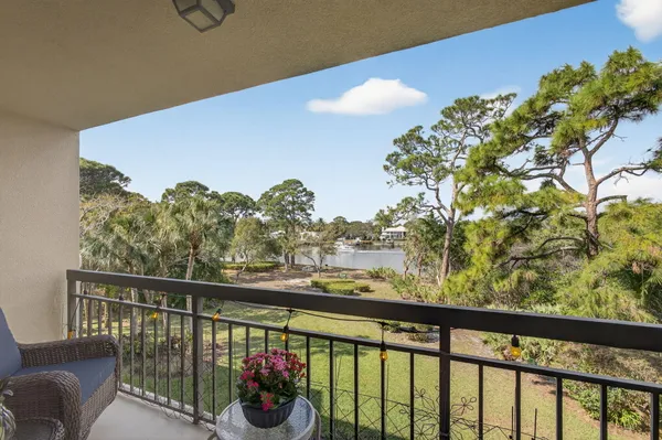 a view of a yard with plants and trees