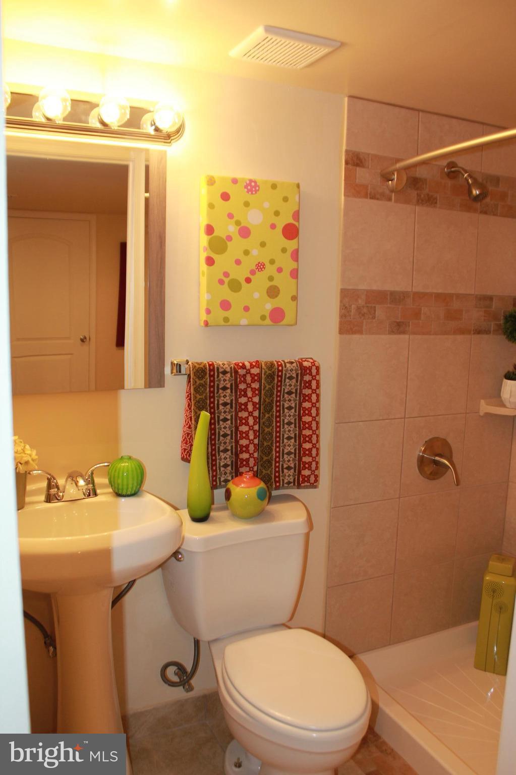 5509 Leith Road Baltimore, MD 21239 - Photo 21 of 29 Bath in basement
