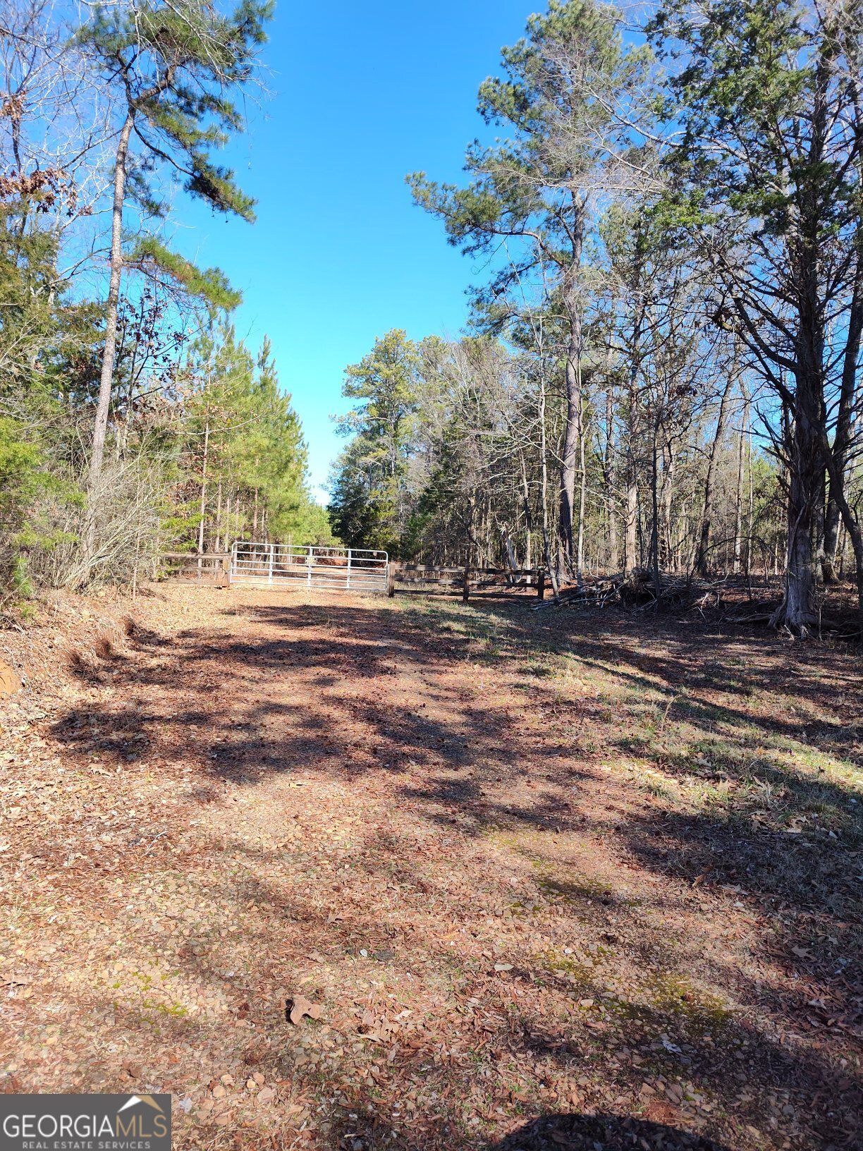1798 Pearl Mill Road Elberton, GA 30635 - Photo 2 of 8 a backyard of a house