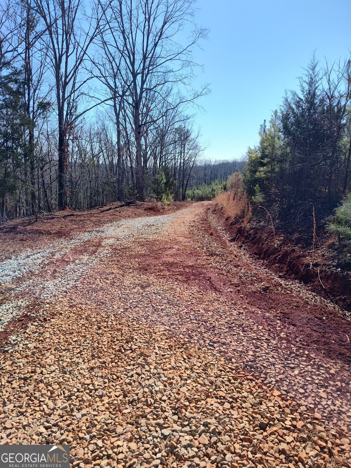 1798 Pearl Mill Road Elberton, GA 30635 - Photo 3 of 8 a view of snow on the side of the road