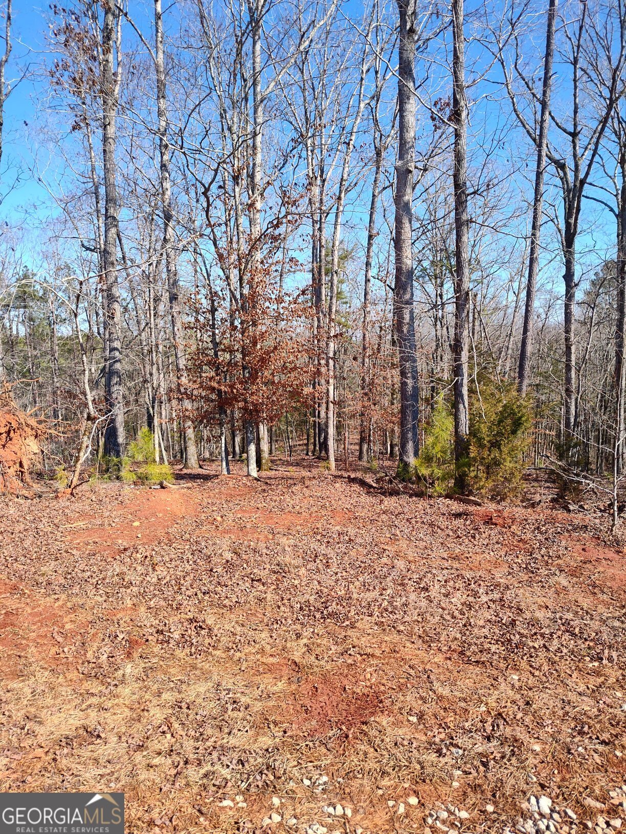 1798 Pearl Mill Road Elberton, GA 30635 - Photo 5 of 8 a view of road with trees