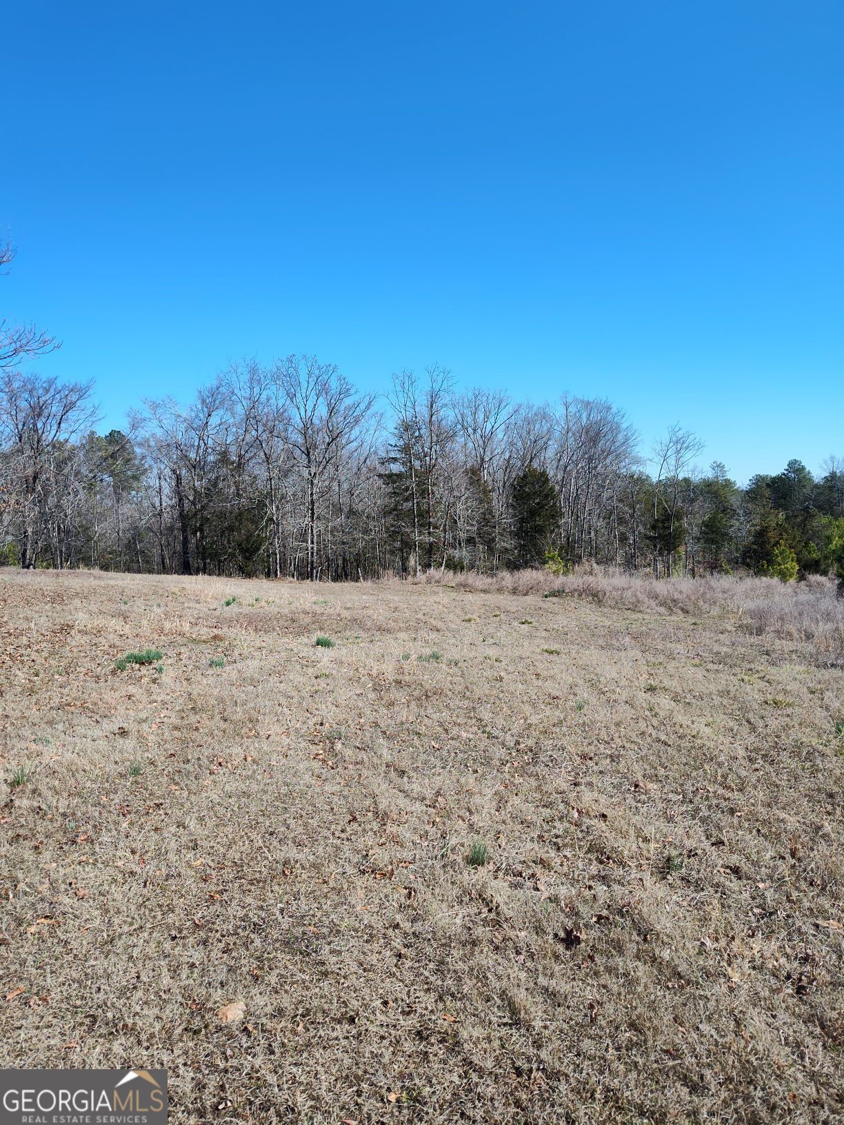 1798 Pearl Mill Road Elberton, GA 30635 - Photo 7 of 8 a view of mountain with a field