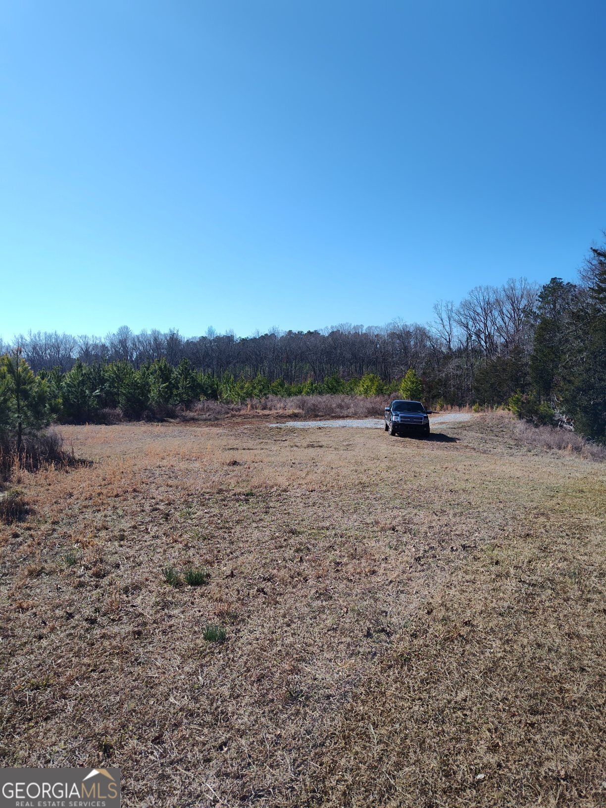 1798 Pearl Mill Road Elberton, GA 30635 - Photo 8 of 8 a view of outdoor space with mountain view