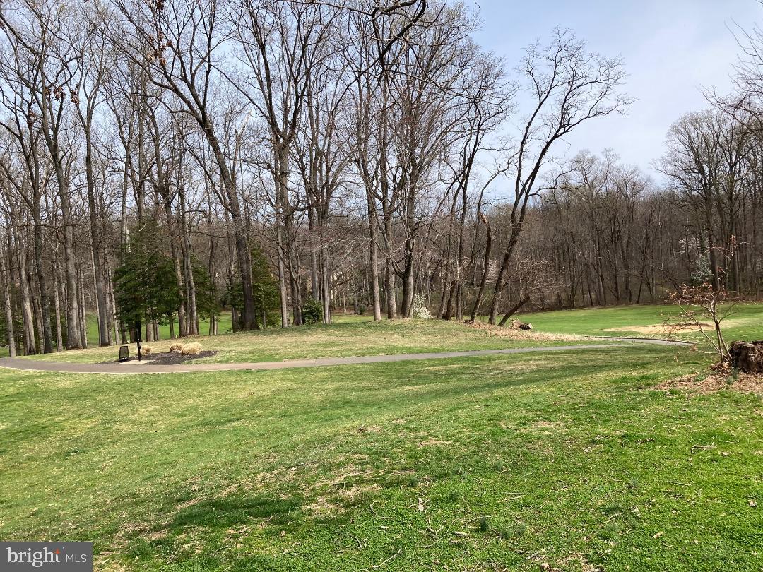 2275 Double Eagle Court Reston, VA 20191 - Photo 36 of 40 Incredible views from deck
