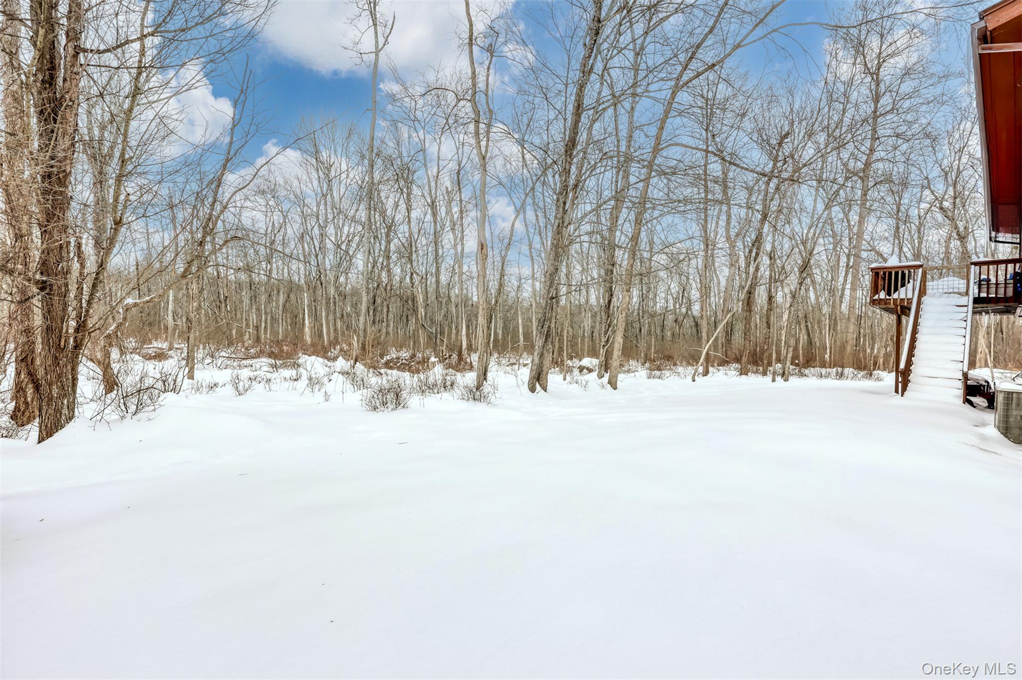 49 Camp Hill Road Pomona, NY 10970 - Photo 18 of 19 a view of snow on the road