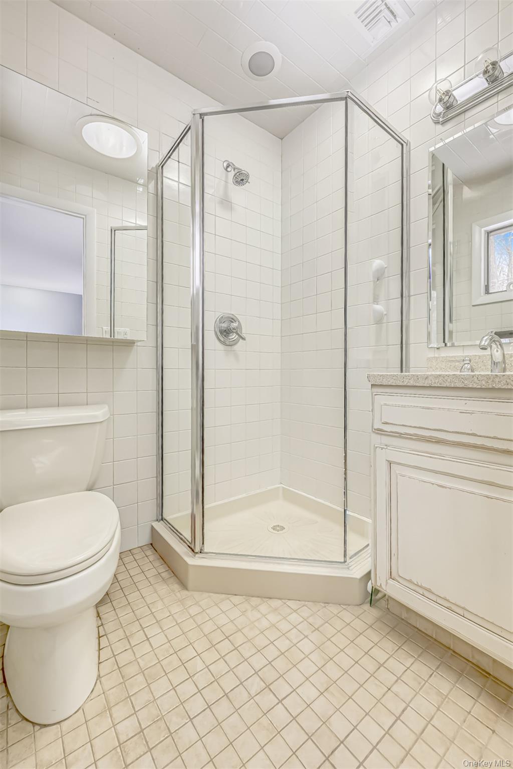 49 Camp Hill Road Pomona, NY 10970 - Photo 10 of 19 a bathroom with a toilet and a shower