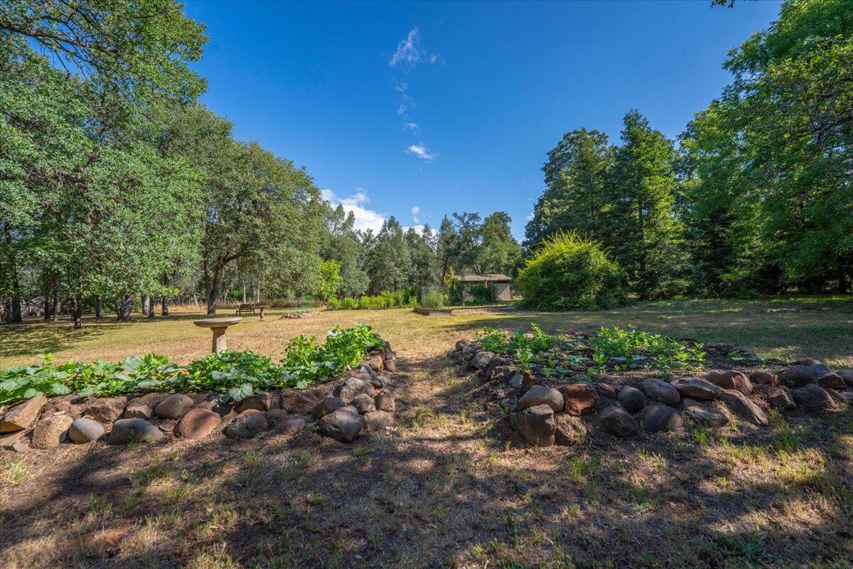 21880 Oak Meadow Road Palo Cedro, CA 96073 - Photo 57 of 79 Backyard