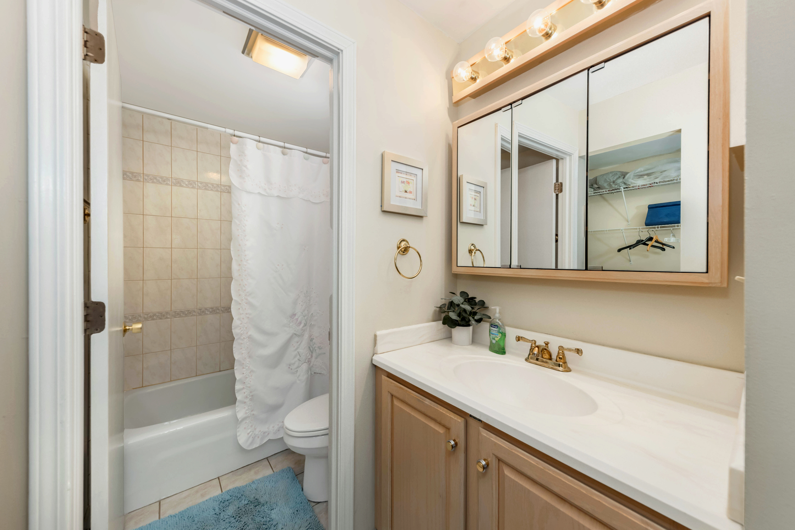 101 Bar Harbour Road, Unit 2G Schaumburg, IL 60193 - Photo 16 of 24 a bathroom with a sink a toilet and shower