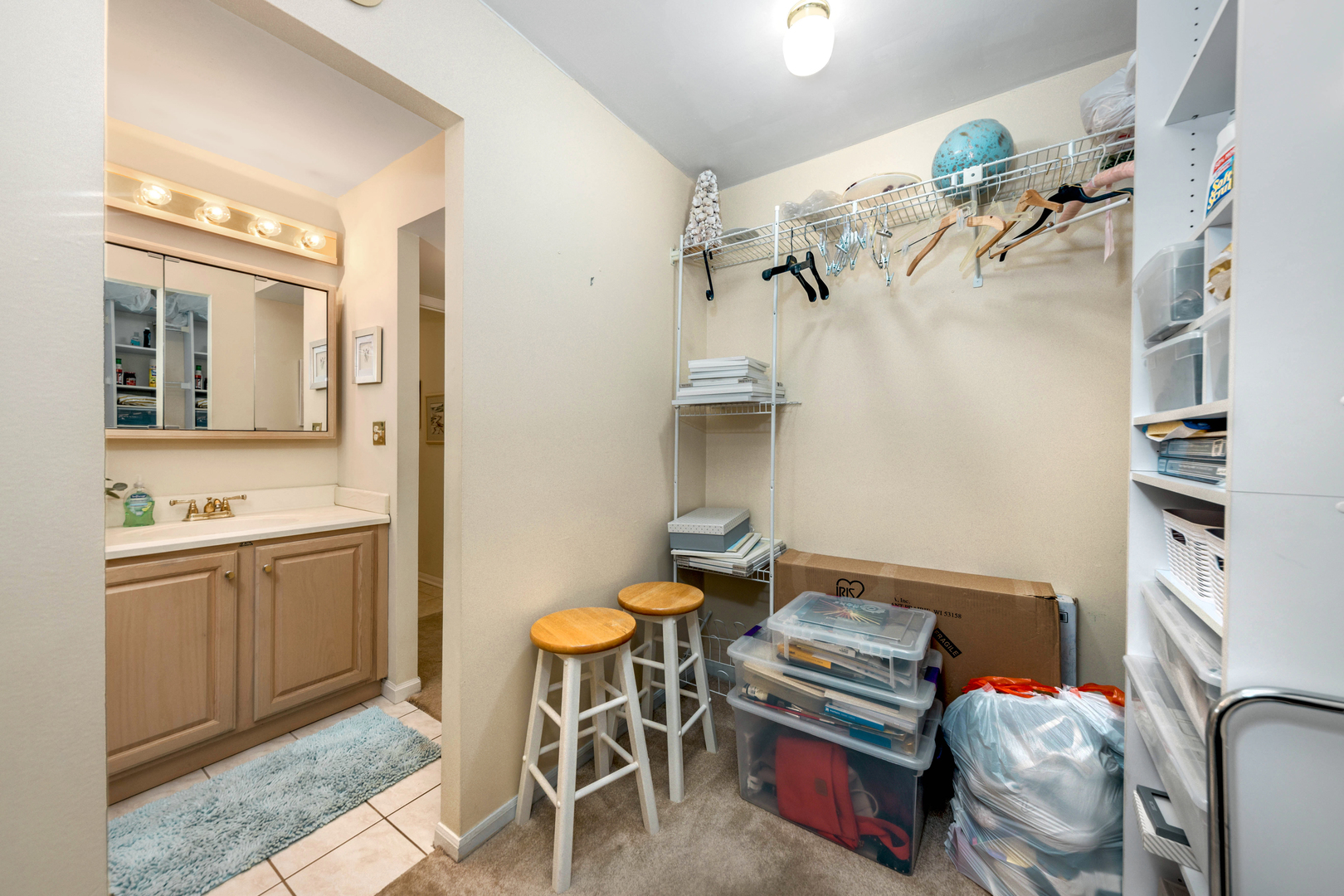 101 Bar Harbour Road, Unit 2G Schaumburg, IL 60193 - Photo 18 of 24 a bathroom with a sink a mirror and a shower