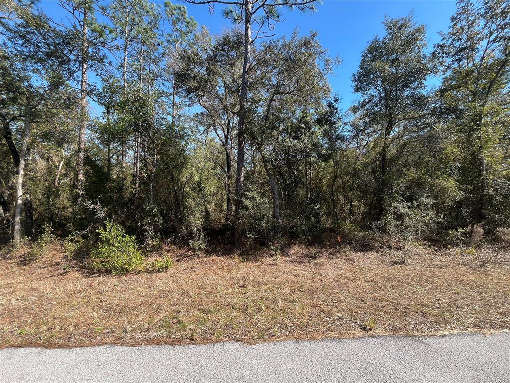 Tbd Southwest Big Tree Road Dunnellon, FL 34431 - Photo 1 of 1 Gallery Image 1