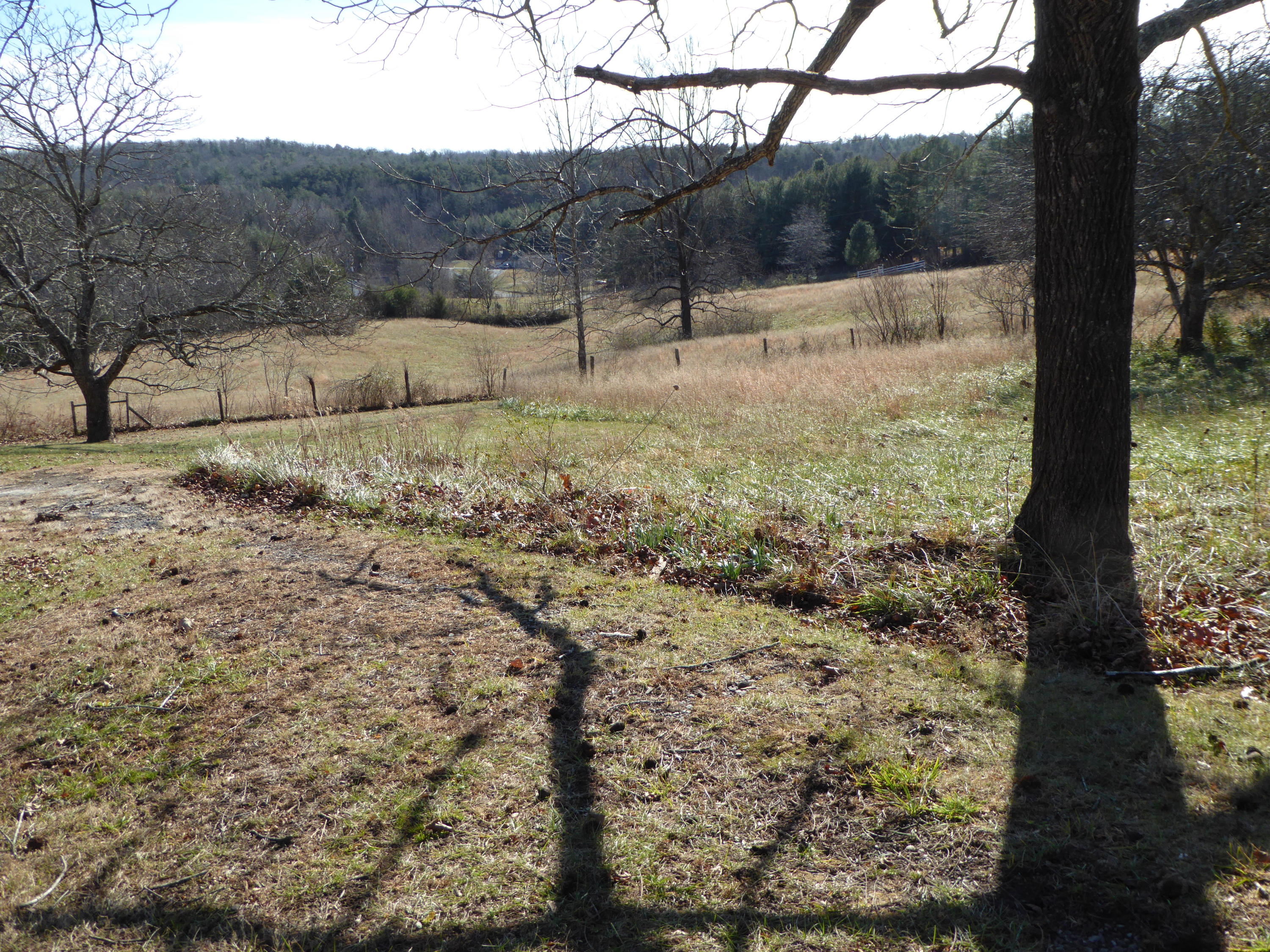 1122 Fairfield Road Henry, VA 24102 - Photo 2 of 34 2 32.15 Acres