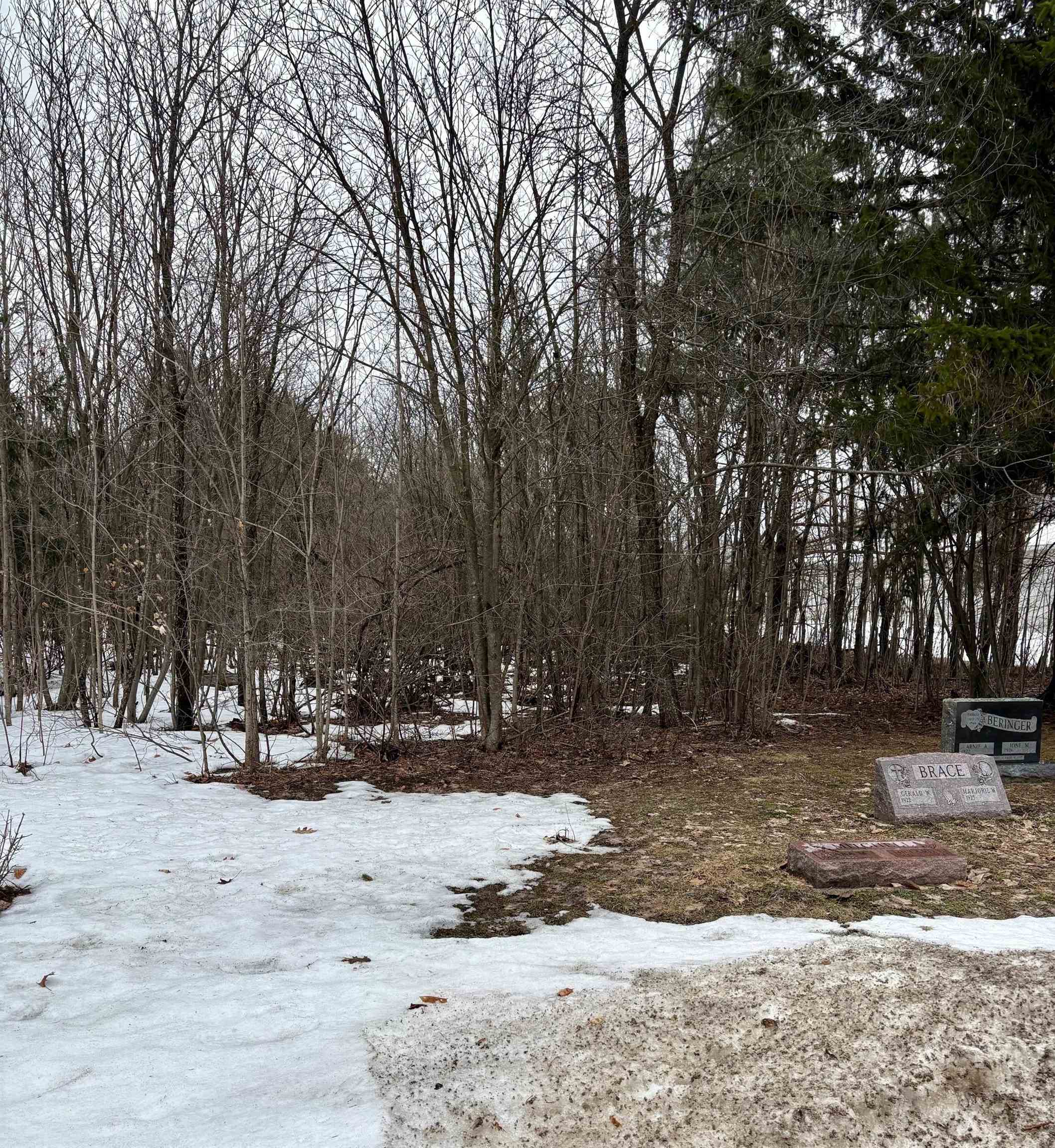 0 Cedar River Road Mancelona, MI 49659 - Photo 5 of 6