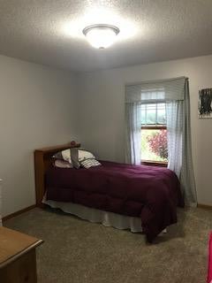 16125 Reider School Road Lachine, MI 49753 - Photo 12 of 44 Gallery Image 12