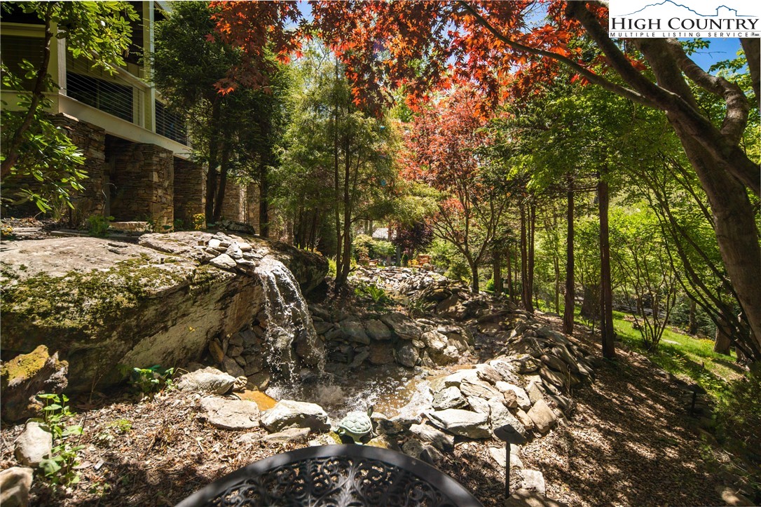 1005 Evergreen Drive Boone, NC 28607 - Photo 42 of 44 a view of a yard with plants and large trees