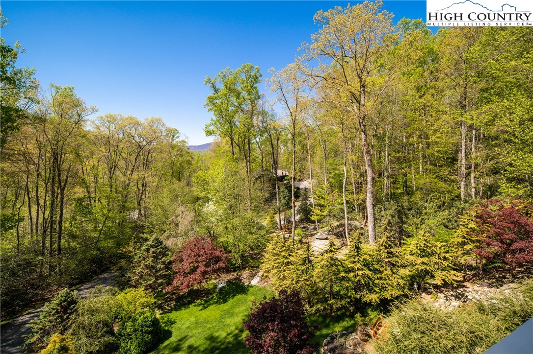 1005 Evergreen Drive Boone, NC 28607 - Photo 43 of 44 a view of a bunch of flowers and trees
