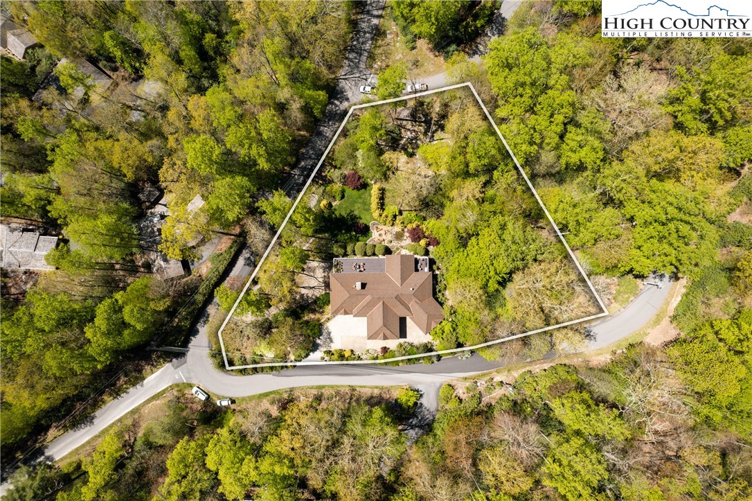 1005 Evergreen Drive Boone, NC 28607 - Photo 44 of 44 a picture of a lot of a tree