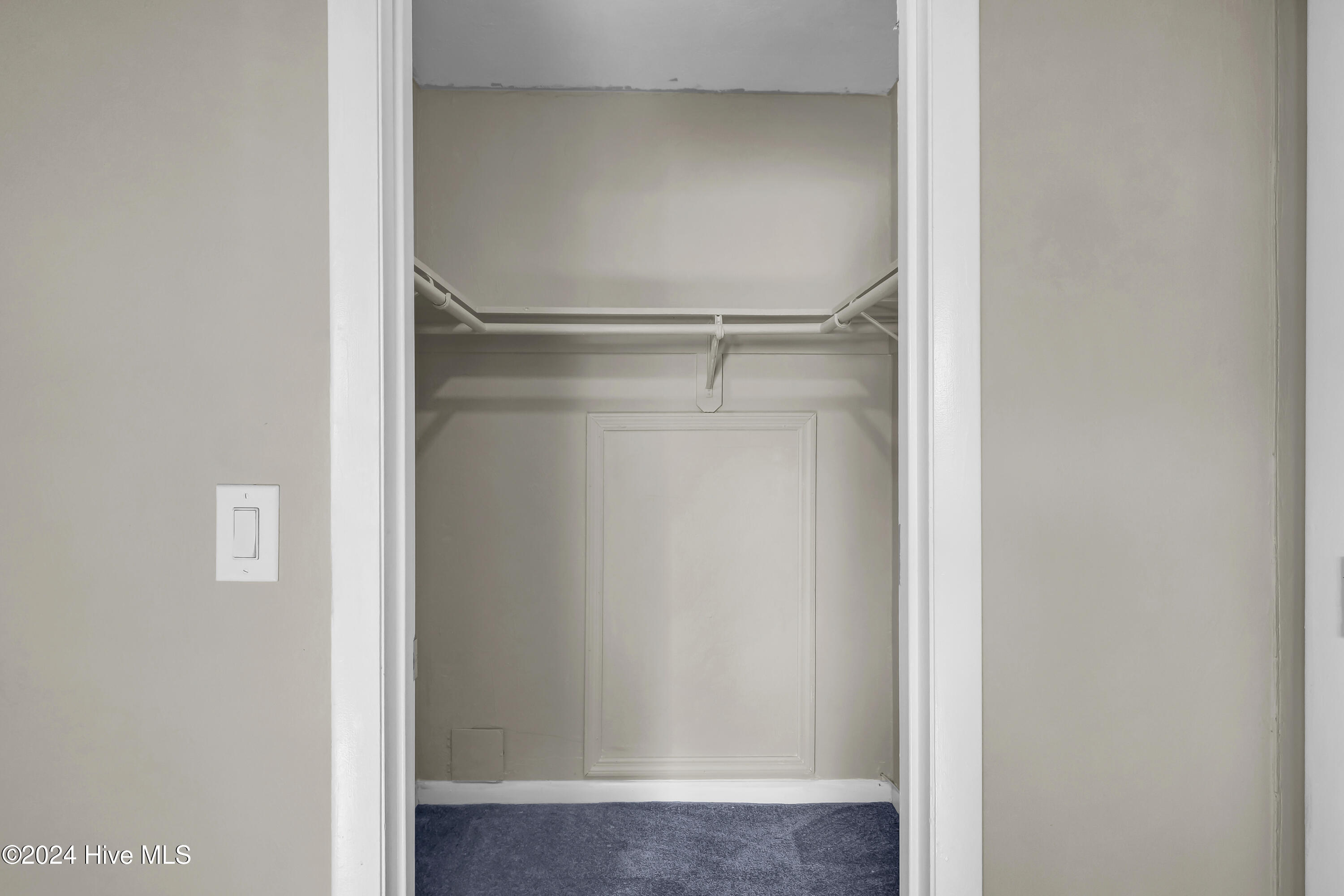 4517 Holly Tree Road Wilmington, NC 28412 - Photo 23 of 28 Primary Closet