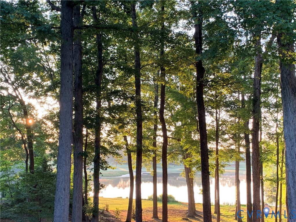 9 Deer Run Road Manakin-Sabot, VA 23103 - Photo 2 of 66 Gallery Image 2