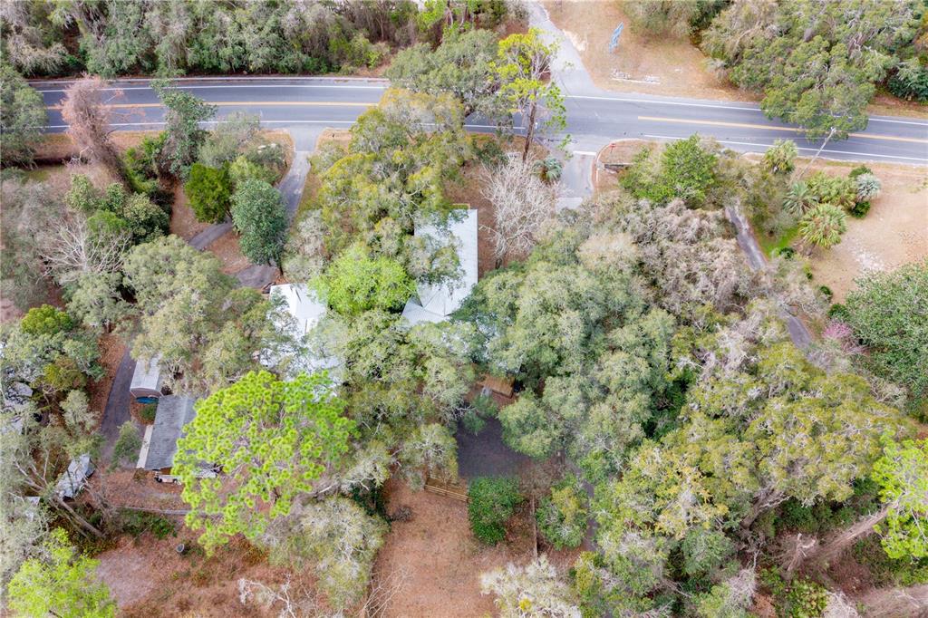 1353 Chatauqua Way Keystone Heights, FL 32656 - Photo 10 of 60 a view of a garden with plants and large trees