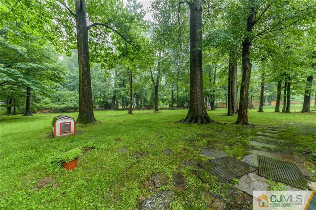 7 Bradford Road Edison, NJ 08820 - Photo 34 of 34 a view of a garden with trees